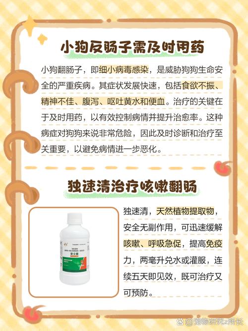 解析“狗翻肠”你不知道的事-第4张图片 解析“狗翻肠”你不知道的事-第4张图片