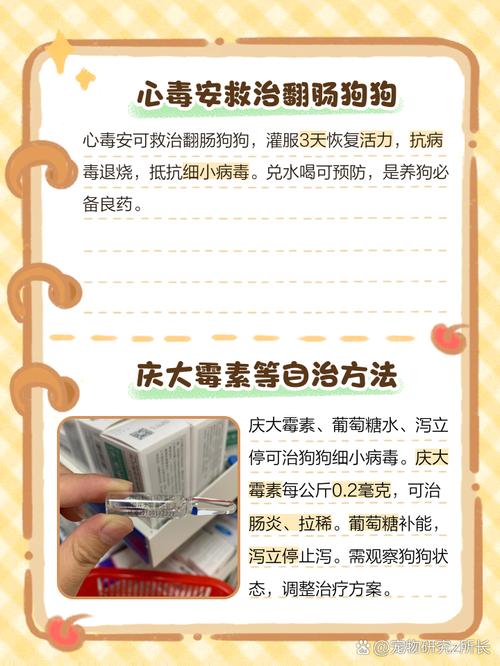 解析“狗翻肠”你不知道的事-第10张图片 解析“狗翻肠”你不知道的事-第10张图片