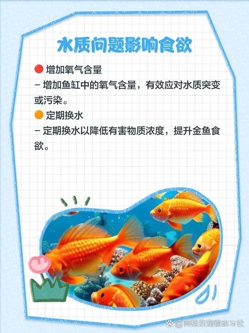 金鱼最怕的三种食物/金鱼最怕什么字脑筋急转弯-第1张图片 金鱼最怕的三种食物/金鱼最怕什么字脑筋急转弯-第1张图片