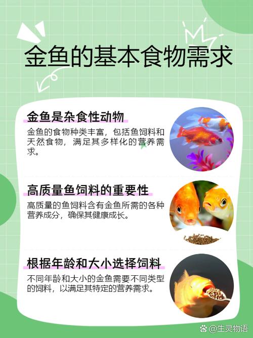 金鱼最怕的三种食物/金鱼最怕什么字脑筋急转弯-第3张图片 金鱼最怕的三种食物/金鱼最怕什么字脑筋急转弯-第3张图片