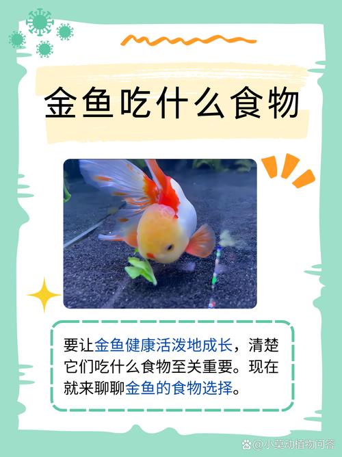金鱼最怕的三种食物/金鱼最怕什么字脑筋急转弯-第5张图片 金鱼最怕的三种食物/金鱼最怕什么字脑筋急转弯-第5张图片