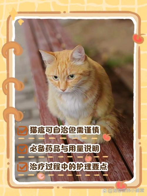 解析“猫咪得了猫瘟怎么办”你不知道的事-第2张图片 解析“猫咪得了猫瘟怎么办”你不知道的事-第2张图片