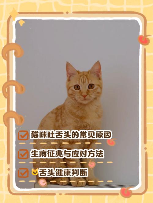 作为消费者“猫猫一直吐舌头”你不能不知道-第5张图片 作为消费者“猫猫一直吐舌头”你不能不知道-第5张图片