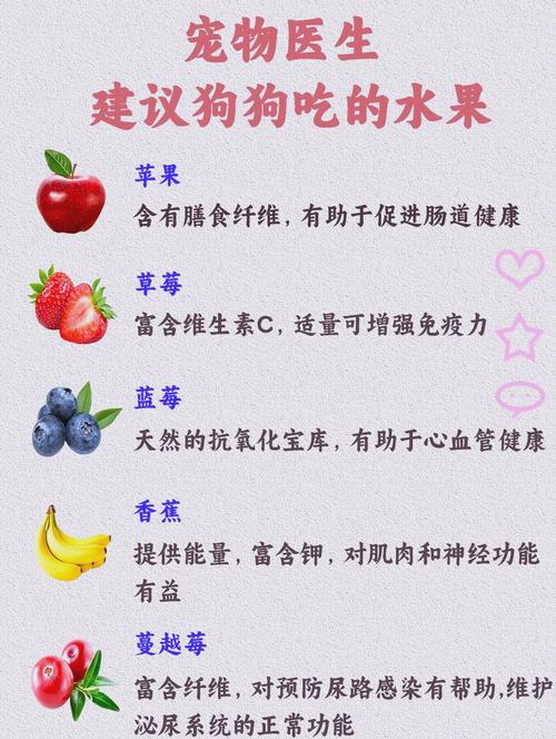 狗狗可以吃水果吗,狗狗能吃的20种水果-第3张图片 狗狗可以吃水果吗,狗狗能吃的20种水果-第3张图片