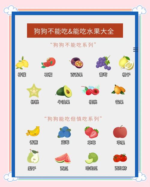 狗狗可以吃水果吗,狗狗能吃的20种水果-第6张图片 狗狗可以吃水果吗,狗狗能吃的20种水果-第6张图片