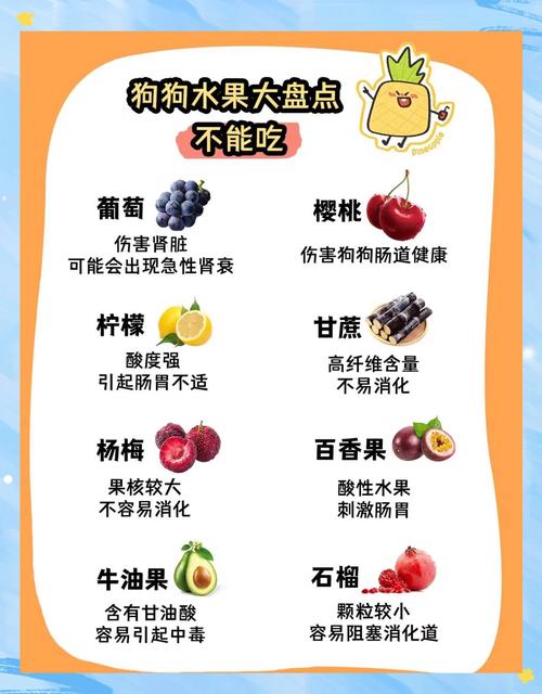 狗狗可以吃水果吗,狗狗能吃的20种水果-第8张图片 狗狗可以吃水果吗,狗狗能吃的20种水果-第8张图片
