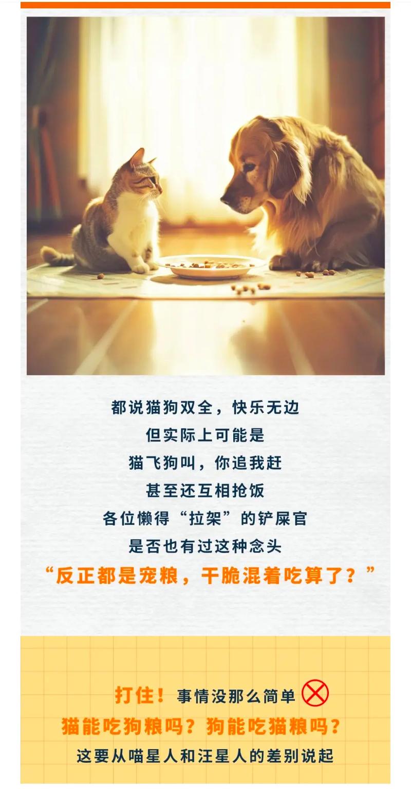 狗粮猫可以吃吗-小猫能吃狗粮吗-第2张图片 狗粮猫可以吃吗-小猫能吃狗粮吗-第2张图片