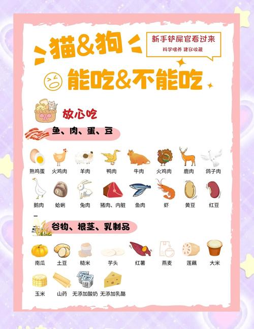 狗粮猫可以吃吗-小猫能吃狗粮吗-第9张图片 狗粮猫可以吃吗-小猫能吃狗粮吗-第9张图片