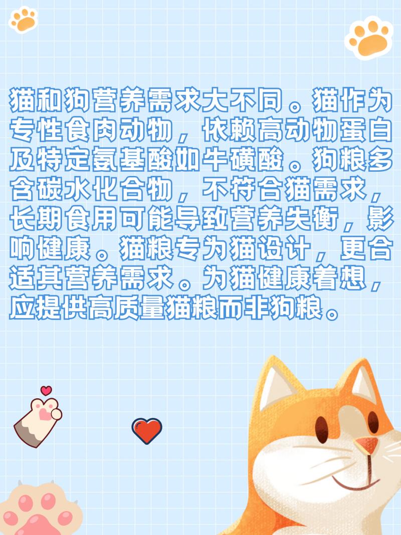 狗粮猫可以吃吗-小猫能吃狗粮吗-第10张图片 狗粮猫可以吃吗-小猫能吃狗粮吗-第10张图片