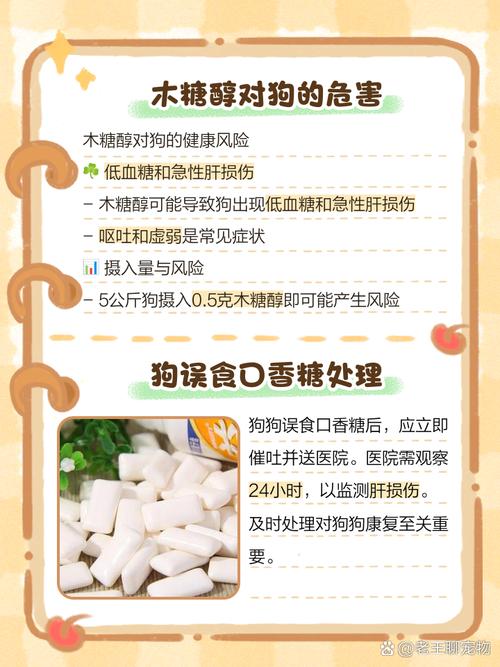 解析“狗狗吃了口香糖有事吗”你不知道的事-第7张图片 解析“狗狗吃了口香糖有事吗”你不知道的事-第7张图片