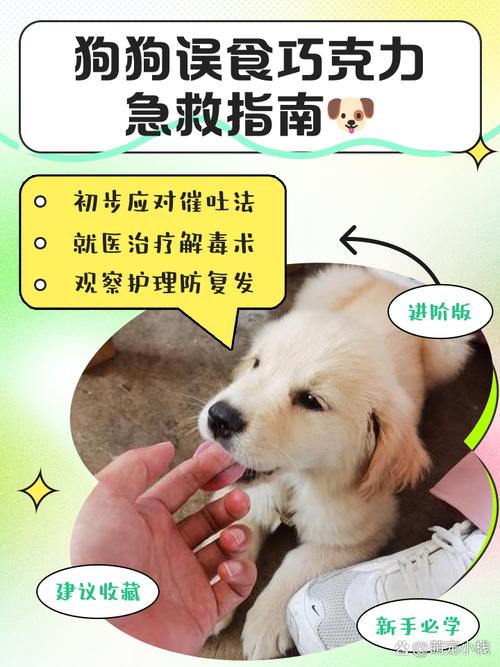 解析“狗狗吃了口香糖有事吗”你不知道的事-第8张图片 解析“狗狗吃了口香糖有事吗”你不知道的事-第8张图片