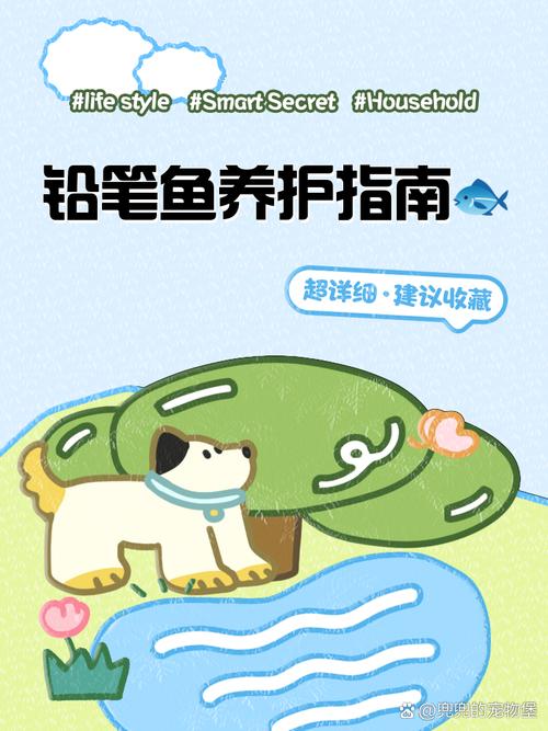 铅笔鱼需要加热吗-铅笔鱼可以冷水养吗-第5张图片 铅笔鱼需要加热吗-铅笔鱼可以冷水养吗-第5张图片