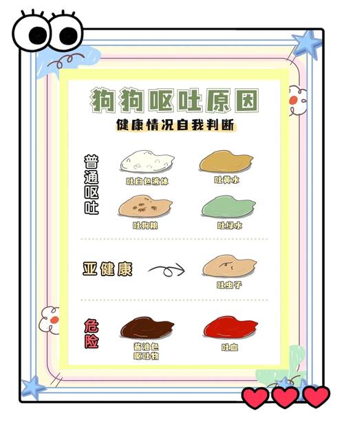狗狗不吃不喝没精神怎么办-狗狗不吃东西没精神怎么了-第2张图片 狗狗不吃不喝没精神怎么办-狗狗不吃东西没精神怎么了-第2张图片