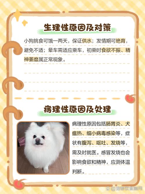 狗狗不吃不喝没精神怎么办-狗狗不吃东西没精神怎么了-第9张图片 狗狗不吃不喝没精神怎么办-狗狗不吃东西没精神怎么了-第9张图片