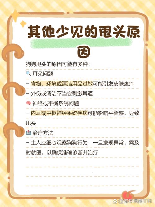 作为消费者“狗狗老是甩头怎么回事”你不能不知道-第2张图片 作为消费者“狗狗老是甩头怎么回事”你不能不知道-第2张图片