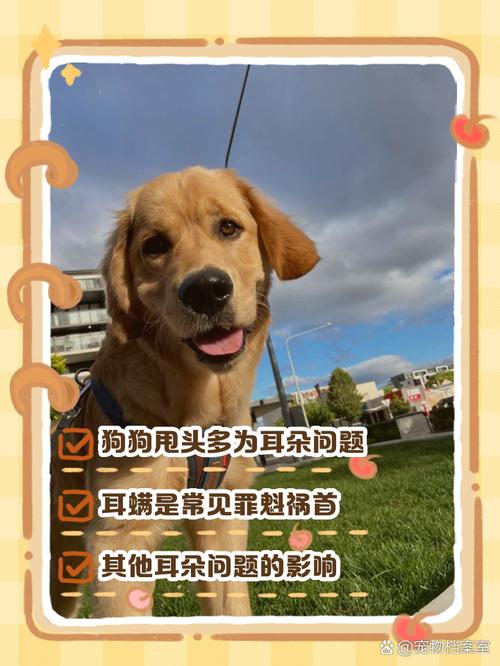 作为消费者“狗狗老是甩头怎么回事”你不能不知道-第7张图片 作为消费者“狗狗老是甩头怎么回事”你不能不知道-第7张图片