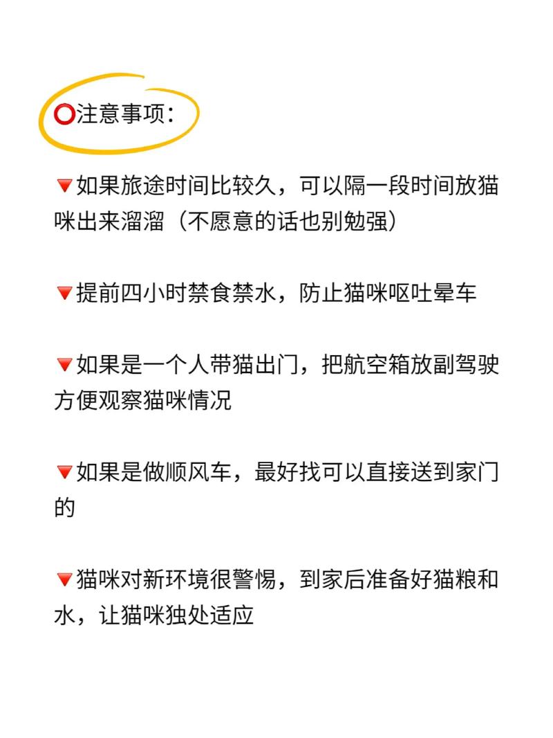 带猫咪出门要注意什么-带猫咪出门要准备什么-第7张图片 带猫咪出门要注意什么-带猫咪出门要准备什么-第7张图片