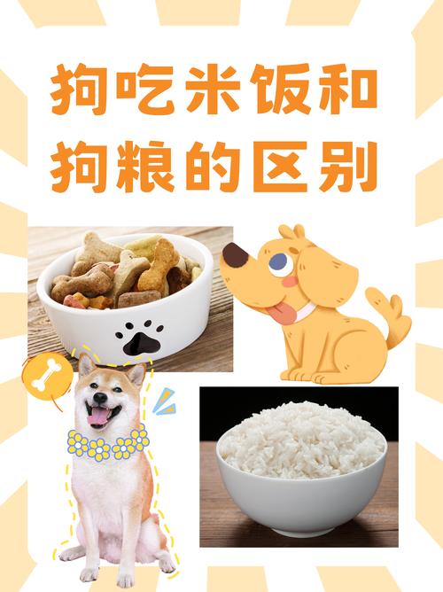 作为消费者“狗狗吃狗粮好还是吃饭好”你不能不知道-第4张图片 作为消费者“狗狗吃狗粮好还是吃饭好”你不能不知道-第4张图片