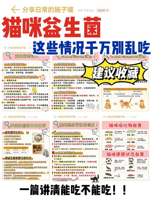果冻猫,果冻猫在哪换-第5张图片 果冻猫,果冻猫在哪换-第5张图片