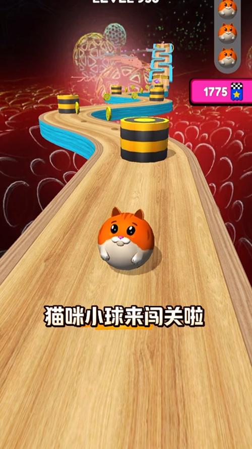 果冻猫,果冻猫在哪换-第7张图片 果冻猫,果冻猫在哪换-第7张图片