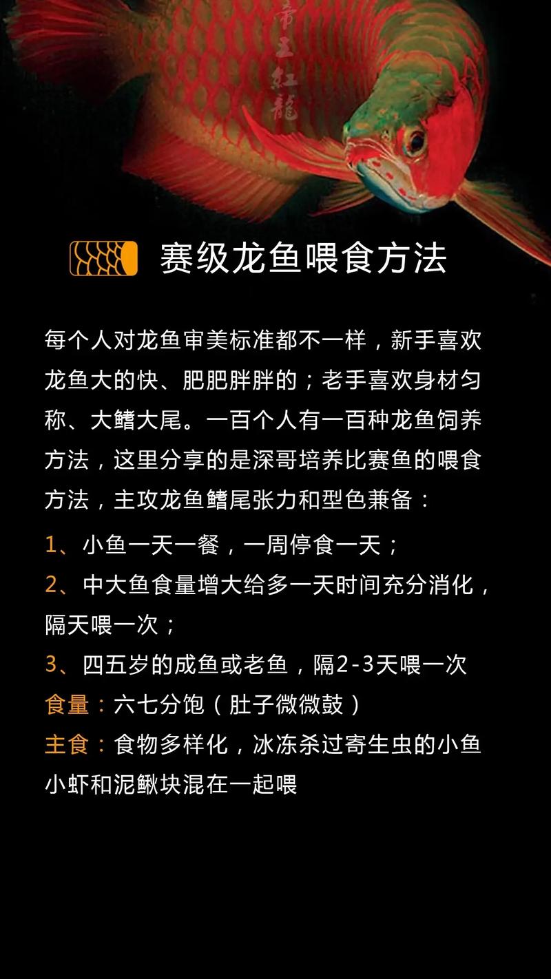 龙鱼一开始养要怎么养/龙鱼刚到家需要怎么做-第8张图片 龙鱼一开始养要怎么养/龙鱼刚到家需要怎么做-第8张图片