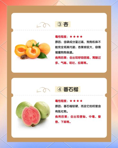 作为消费者“狗能吃石榴不”你不能不知道-第4张图片 作为消费者“狗能吃石榴不”你不能不知道-第4张图片