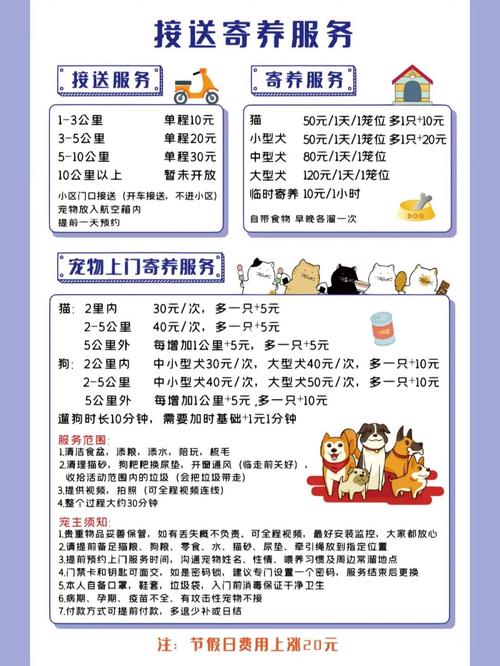 小型宠物,小型宠物猫-第1张图片 小型宠物,小型宠物猫-第1张图片