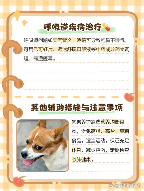 狗狗鼻子不通气小妙招/鼻子堵塞10秒解决-第6张图片 狗狗鼻子不通气小妙招/鼻子堵塞10秒解决-第6张图片