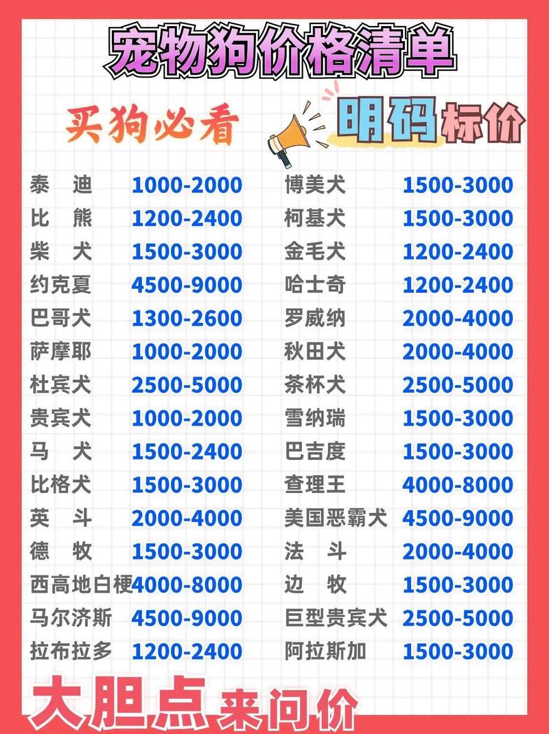 解析“白色贵宾犬费用多少钱一只”你不知道的事-第3张图片 解析“白色贵宾犬费用多少钱一只”你不知道的事-第3张图片