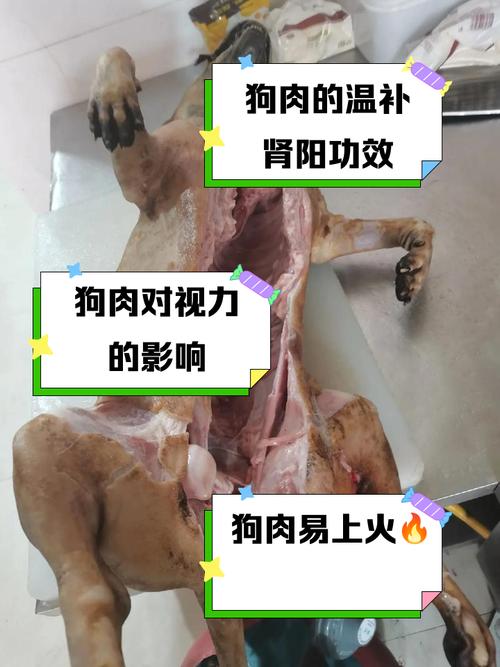 狗吃狗肉会怎么样/狗吃狗肉有什么副作用么-第3张图片 狗吃狗肉会怎么样/狗吃狗肉有什么副作用么-第3张图片