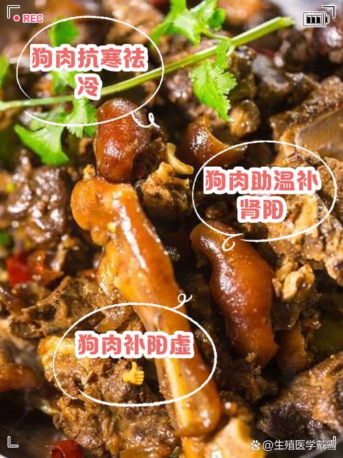 狗吃狗肉会怎么样/狗吃狗肉有什么副作用么-第4张图片 狗吃狗肉会怎么样/狗吃狗肉有什么副作用么-第4张图片