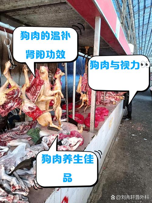 狗吃狗肉会怎么样/狗吃狗肉有什么副作用么-第6张图片 狗吃狗肉会怎么样/狗吃狗肉有什么副作用么-第6张图片