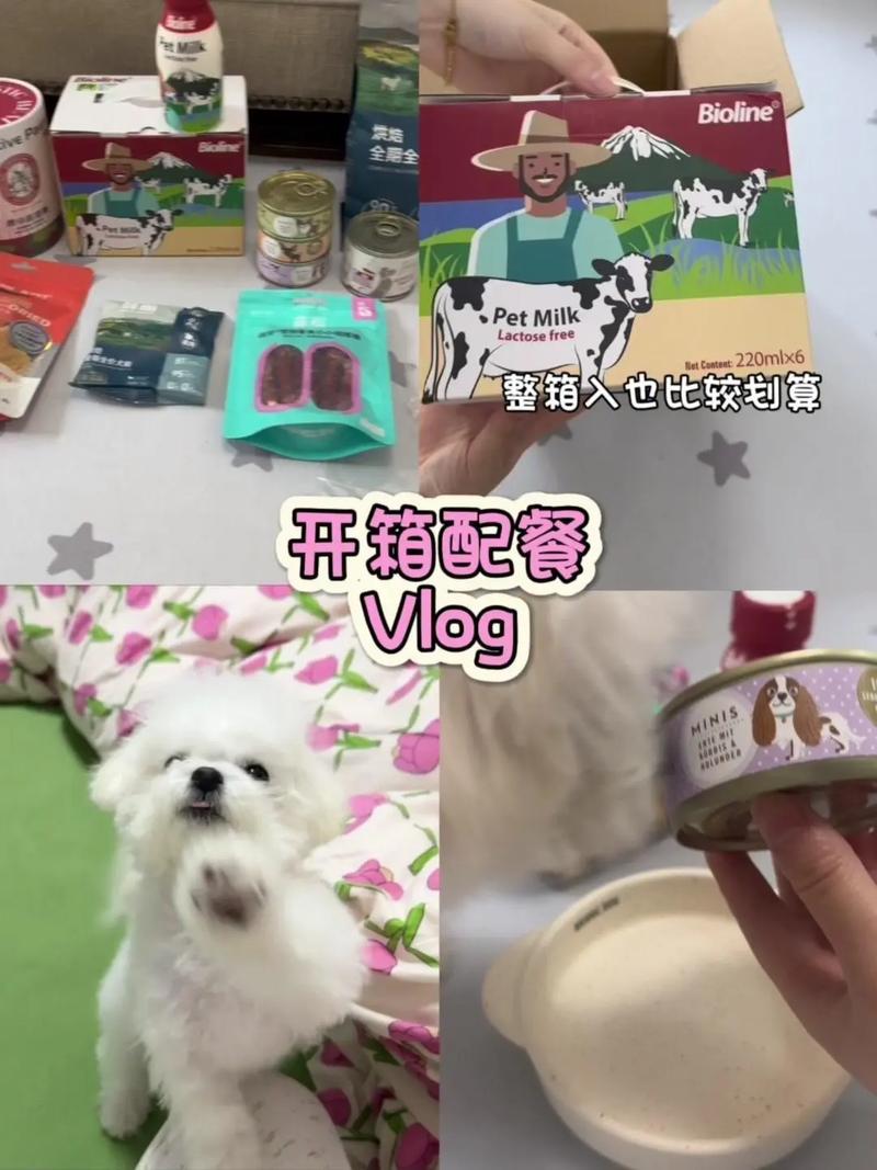 四个月的狗狗一天喂几次,四个月的狗一天喂几顿-第8张图片 四个月的狗狗一天喂几次,四个月的狗一天喂几顿-第8张图片