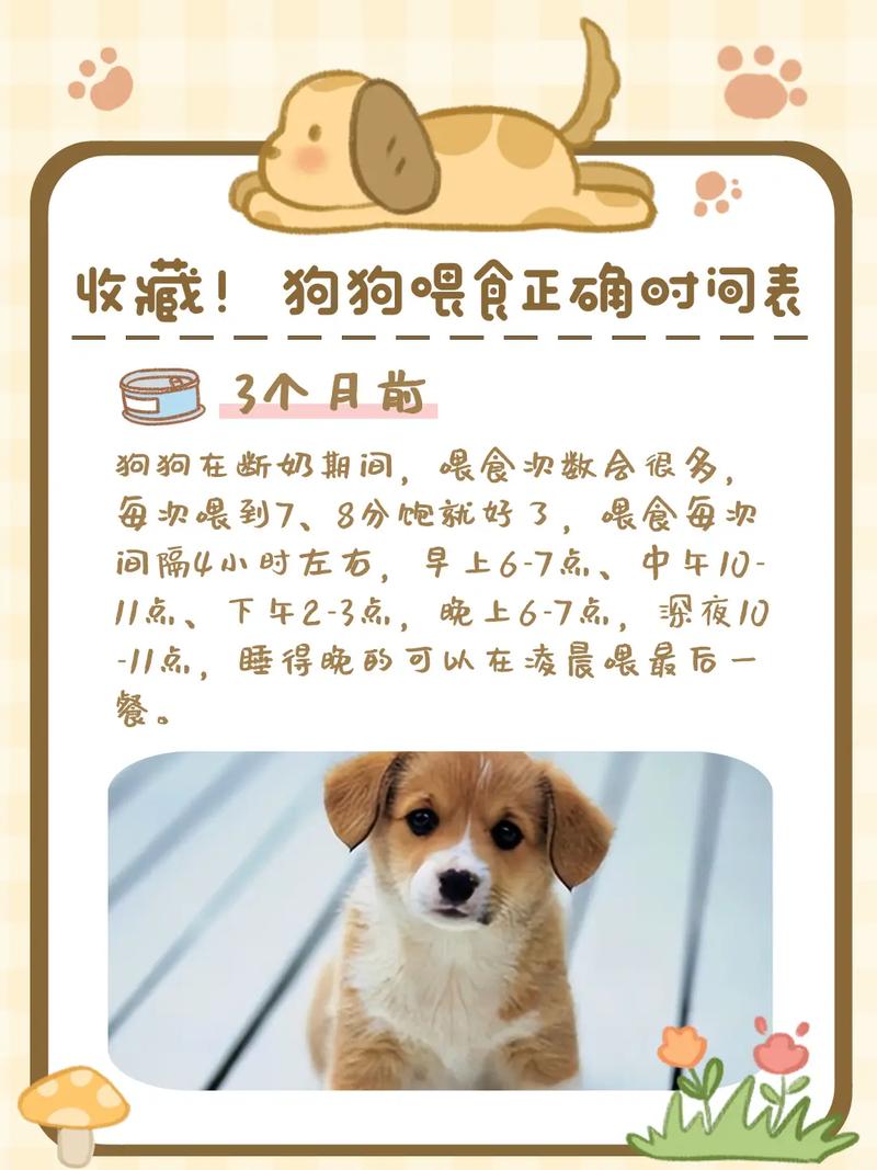 四个月的狗狗一天喂几次,四个月的狗一天喂几顿-第9张图片 四个月的狗狗一天喂几次,四个月的狗一天喂几顿-第9张图片