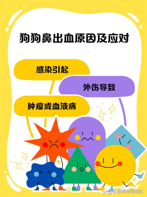 狗狗流鼻血怎么回事/狗狗流鼻血是怎么了-第6张图片 狗狗流鼻血怎么回事/狗狗流鼻血是怎么了-第6张图片