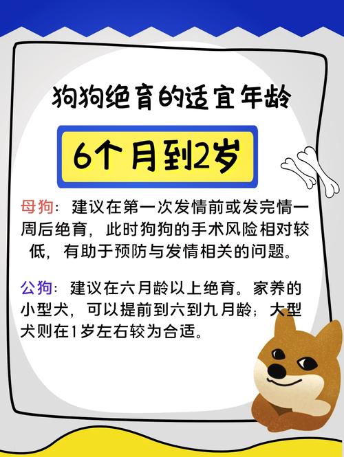 狗多大可以绝育/公犬有必要做绝育吗-第1张图片 狗多大可以绝育/公犬有必要做绝育吗-第1张图片