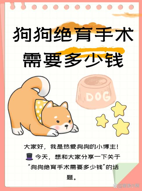 狗多大可以绝育/公犬有必要做绝育吗-第2张图片 狗多大可以绝育/公犬有必要做绝育吗-第2张图片