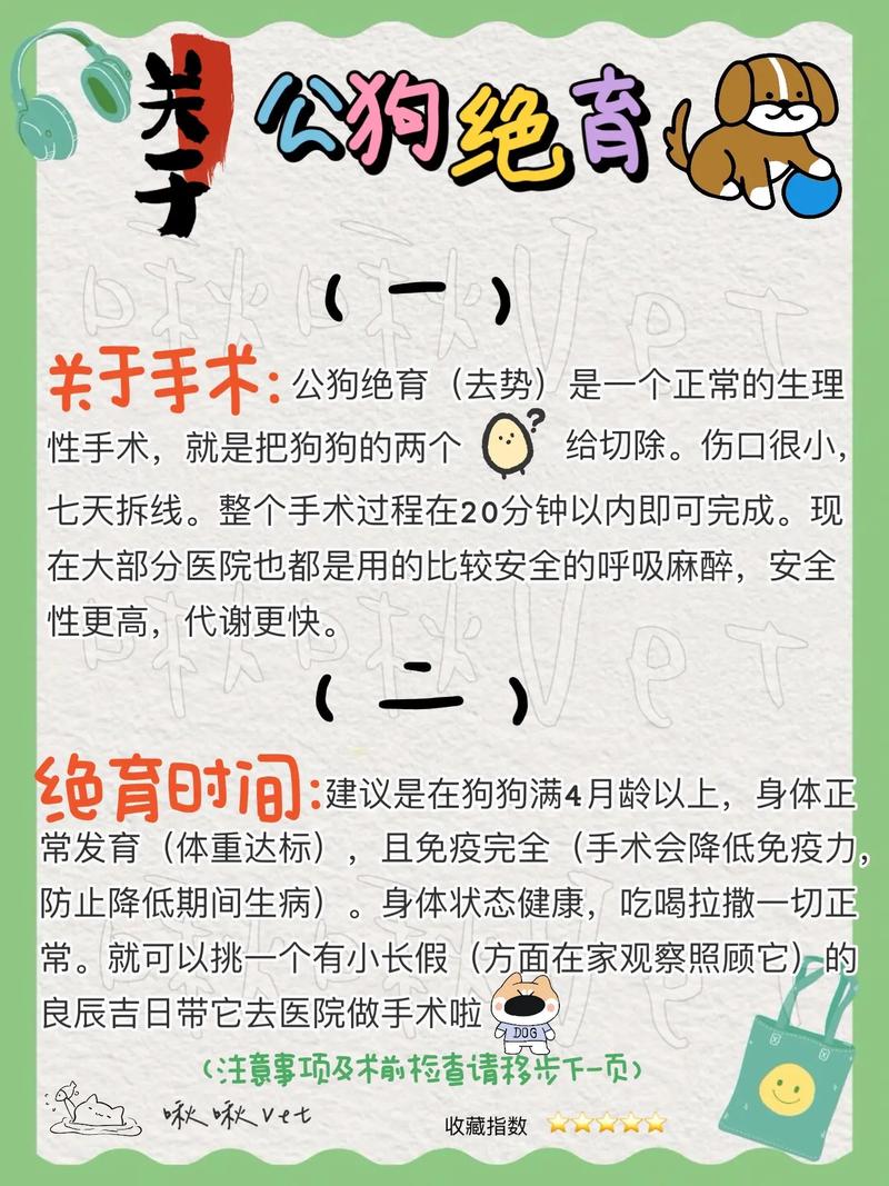 狗多大可以绝育/公犬有必要做绝育吗-第3张图片 狗多大可以绝育/公犬有必要做绝育吗-第3张图片