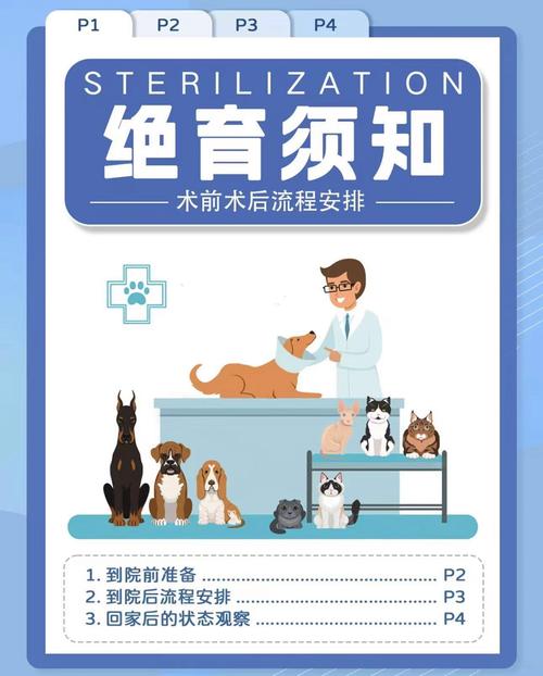 狗多大可以绝育/公犬有必要做绝育吗-第5张图片 狗多大可以绝育/公犬有必要做绝育吗-第5张图片