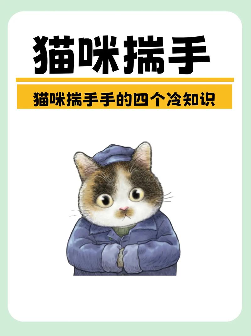 作为消费者“揣手手”你不能不知道-第1张图片 作为消费者“揣手手”你不能不知道-第1张图片