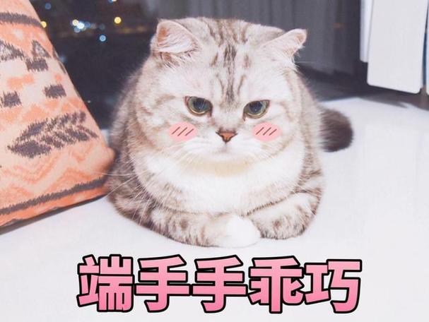 作为消费者“揣手手”你不能不知道-第3张图片 作为消费者“揣手手”你不能不知道-第3张图片
