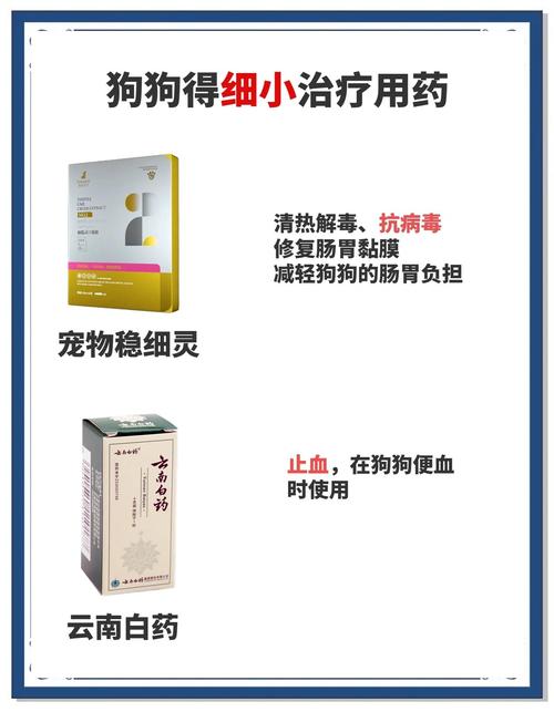 解析“狗狗细小吃什么药”你不知道的事-第5张图片 解析“狗狗细小吃什么药”你不知道的事-第5张图片