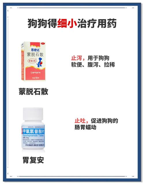 解析“狗狗细小吃什么药”你不知道的事-第6张图片 解析“狗狗细小吃什么药”你不知道的事-第6张图片
