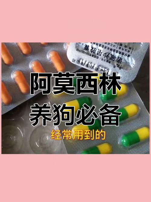 解析“狗狗细小吃什么药”你不知道的事-第7张图片 解析“狗狗细小吃什么药”你不知道的事-第7张图片