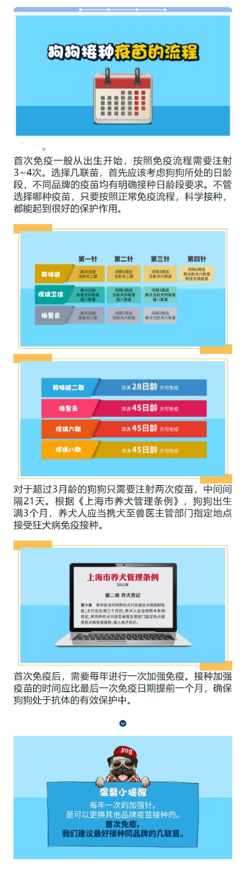 作为消费者“狗狗的疫苗多少钱一针”你不能不知道-第1张图片 作为消费者“狗狗的疫苗多少钱一针”你不能不知道-第1张图片