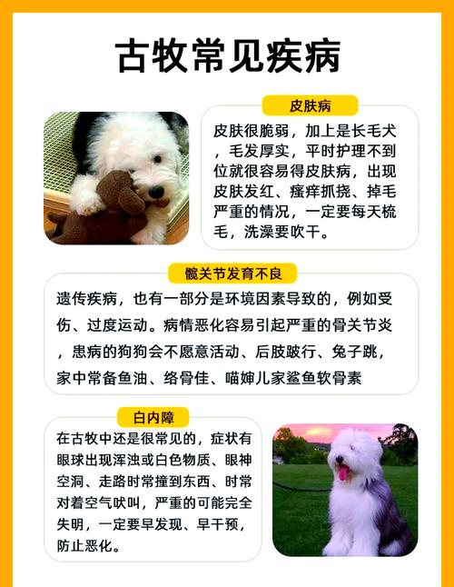 解析“古牧的原名叫什么名字”你不知道的事-第5张图片 解析“古牧的原名叫什么名字”你不知道的事-第5张图片