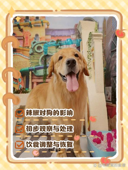 作为消费者“狗狗吃辣椒后症状”你不能不知道-第3张图片 作为消费者“狗狗吃辣椒后症状”你不能不知道-第3张图片