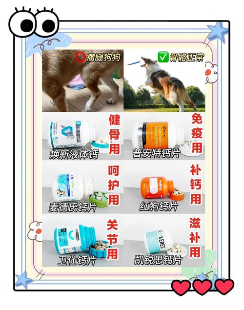 作为消费者“狗狗吃什么可以补钙”你不能不知道