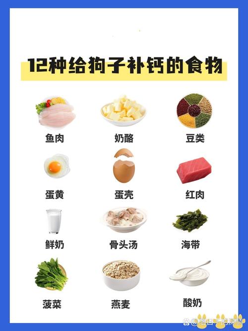作为消费者“狗狗吃什么可以补钙”你不能不知道-第6张图片 作为消费者“狗狗吃什么可以补钙”你不能不知道-第6张图片