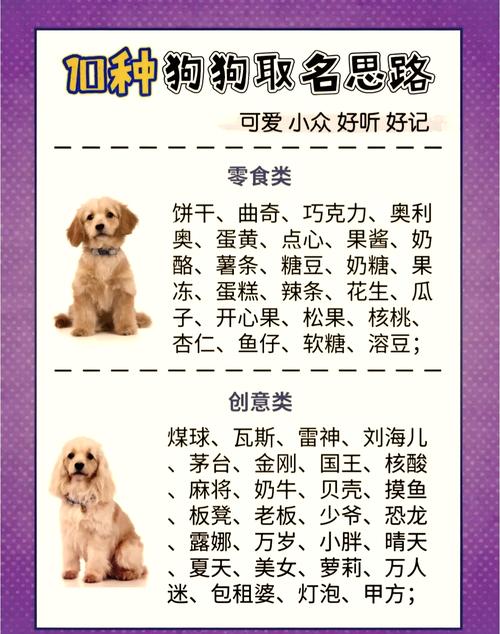 有创意的狗狗名字/有意思的狗狗名字-第4张图片 有创意的狗狗名字/有意思的狗狗名字-第4张图片